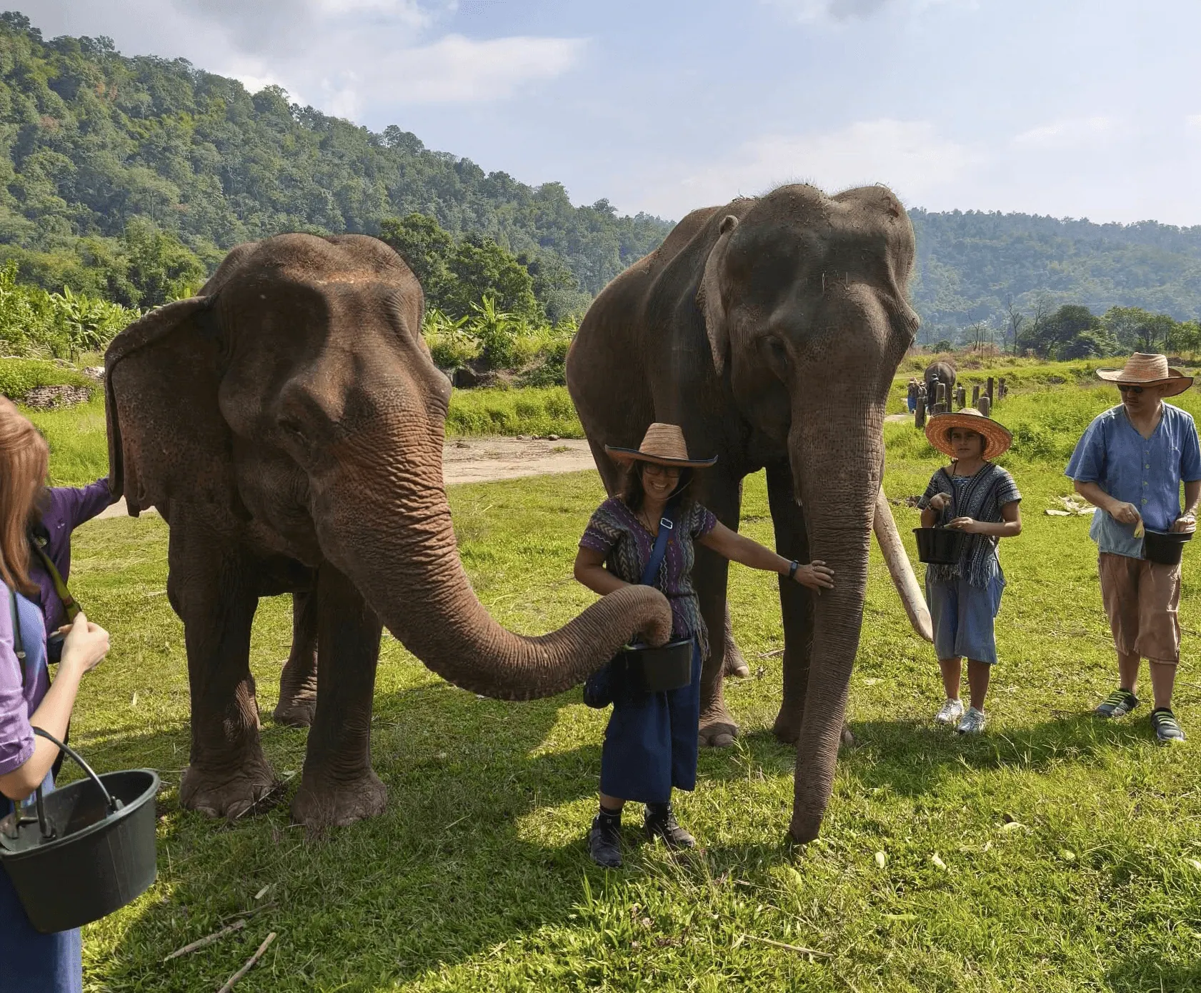 Tony with the elephants