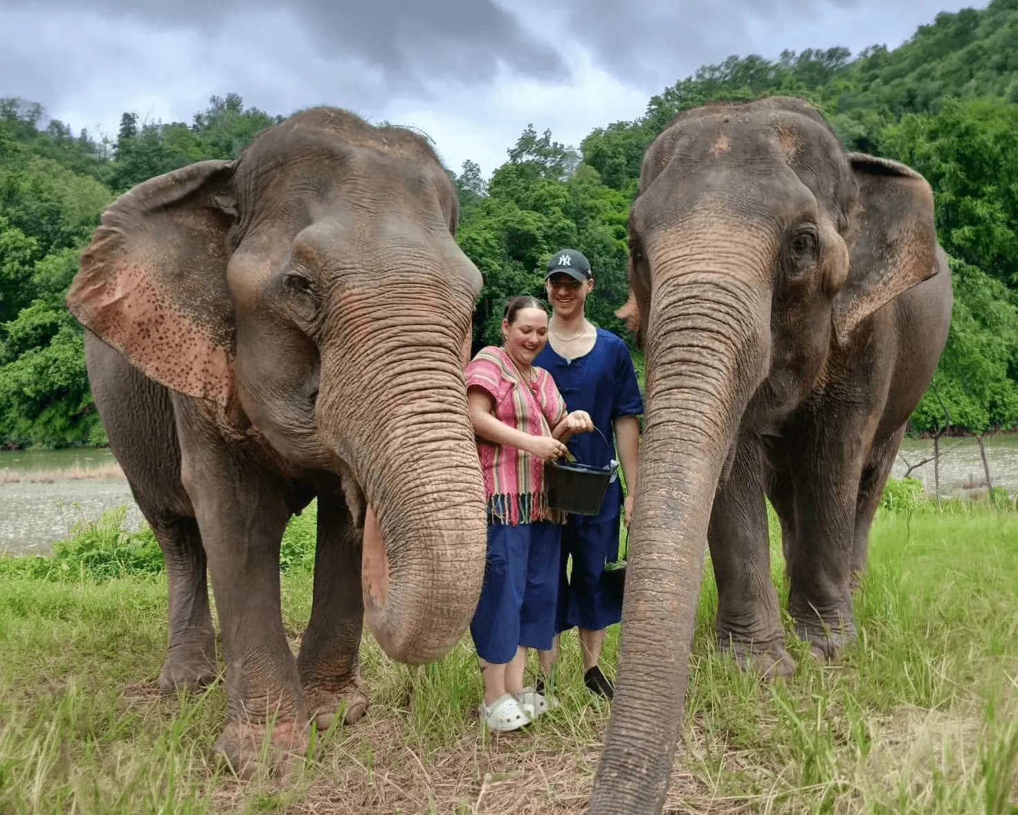 The elephants of Doi Lom