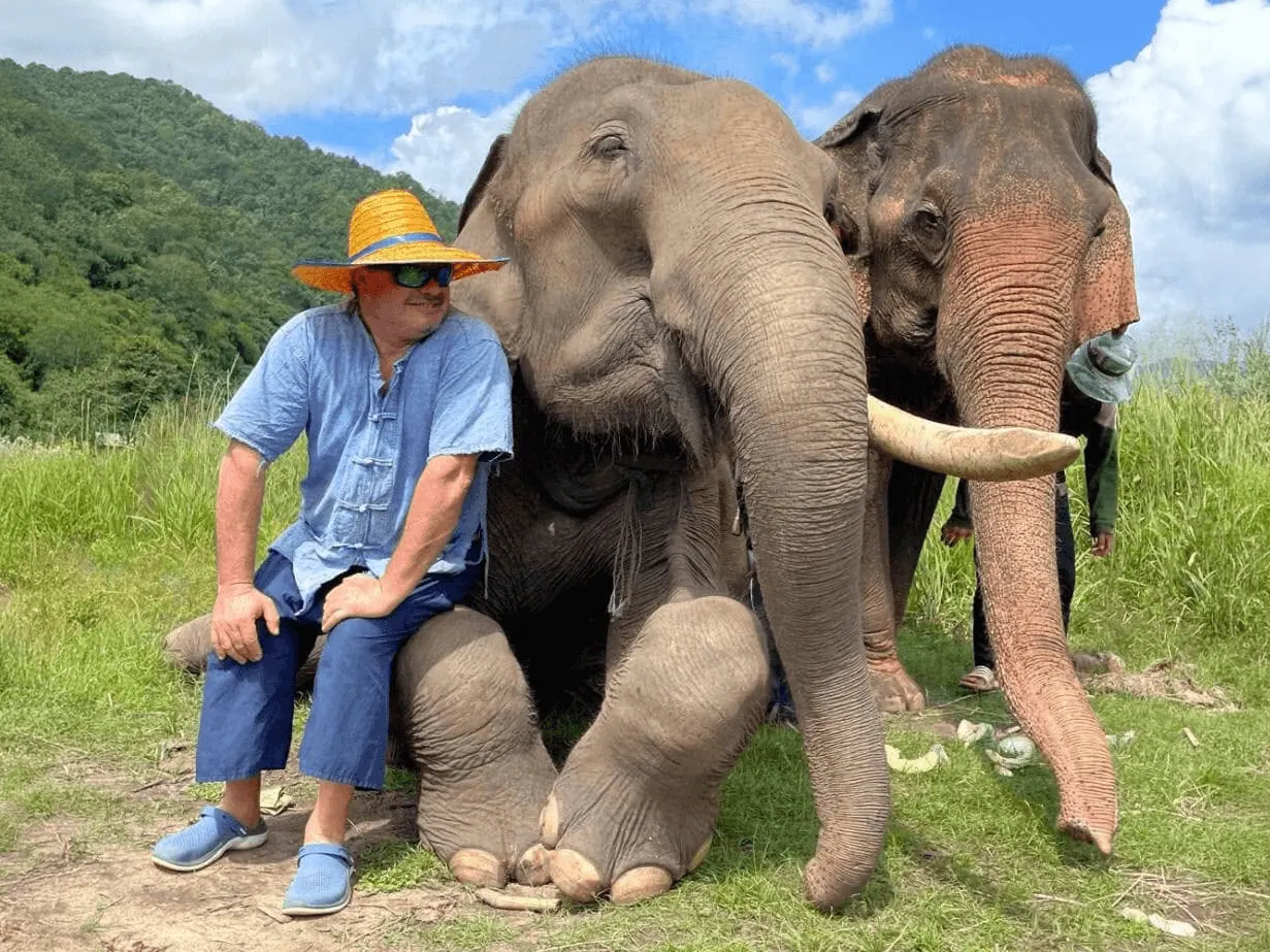 Elephant 1