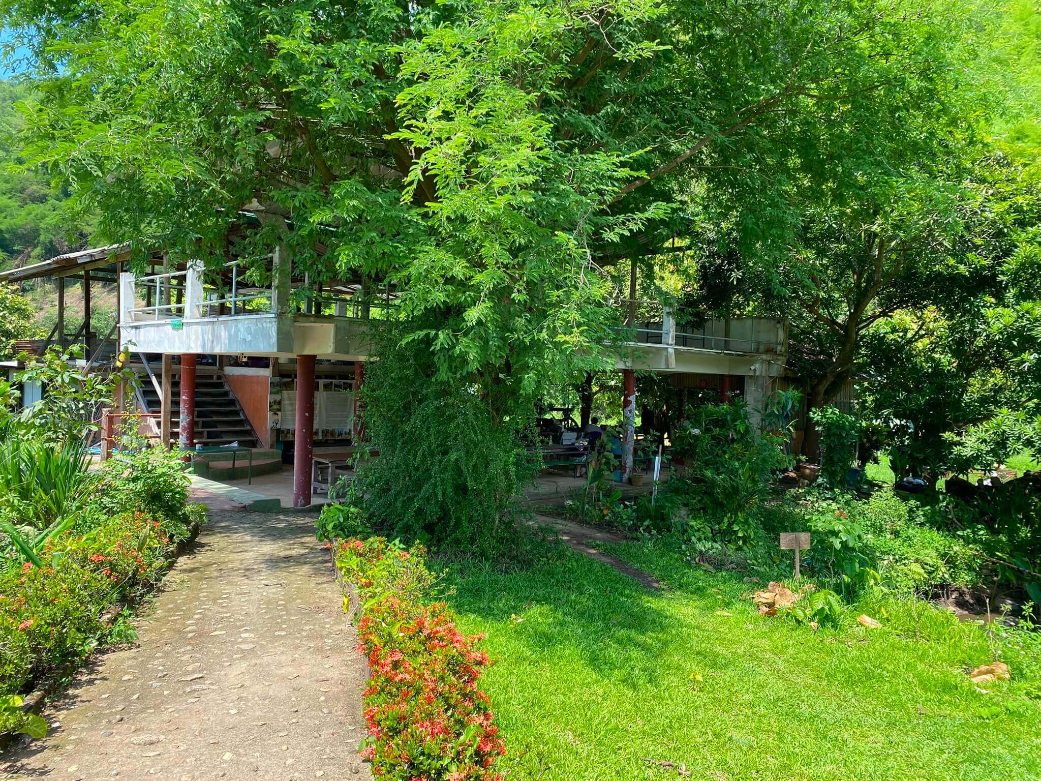 Forest accommodation