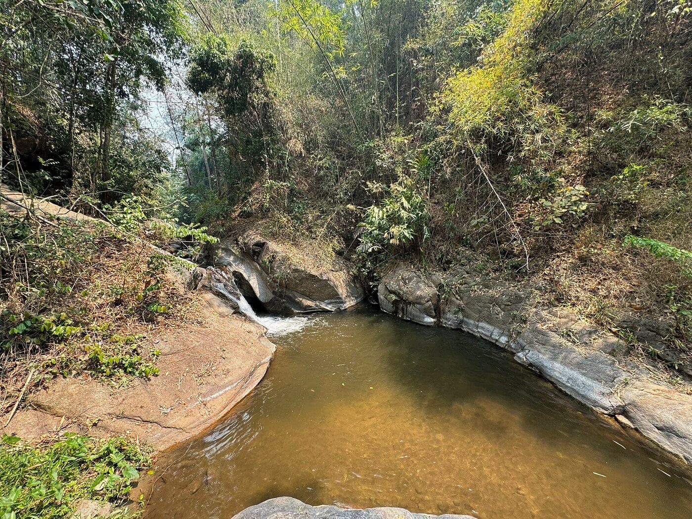 Bamboo rafting