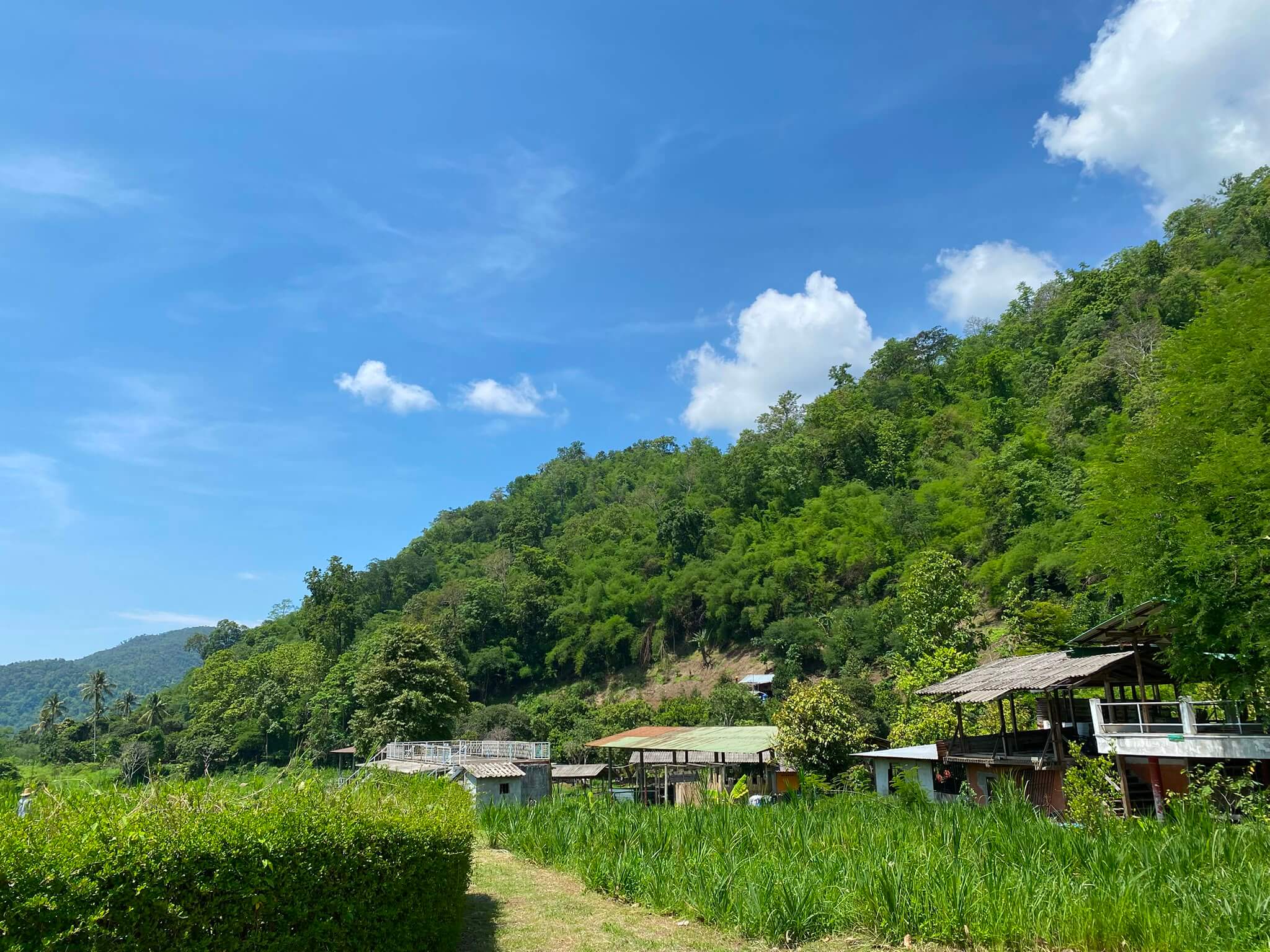 Doi Lom property — detail 2