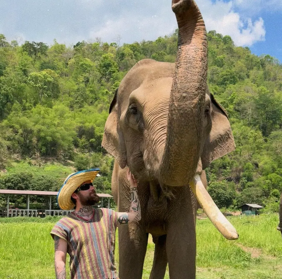 Doi Lom Elephant rescue sanctuary 🐘🌴 Chiang Mai 🇹🇭