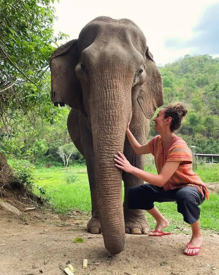 🐘