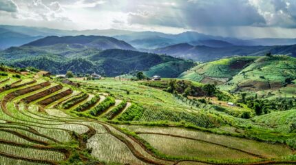 david-gardiner--VSZCFZ0avo-unsplash david-gardiner--VSZCFZ0avo-unsplash