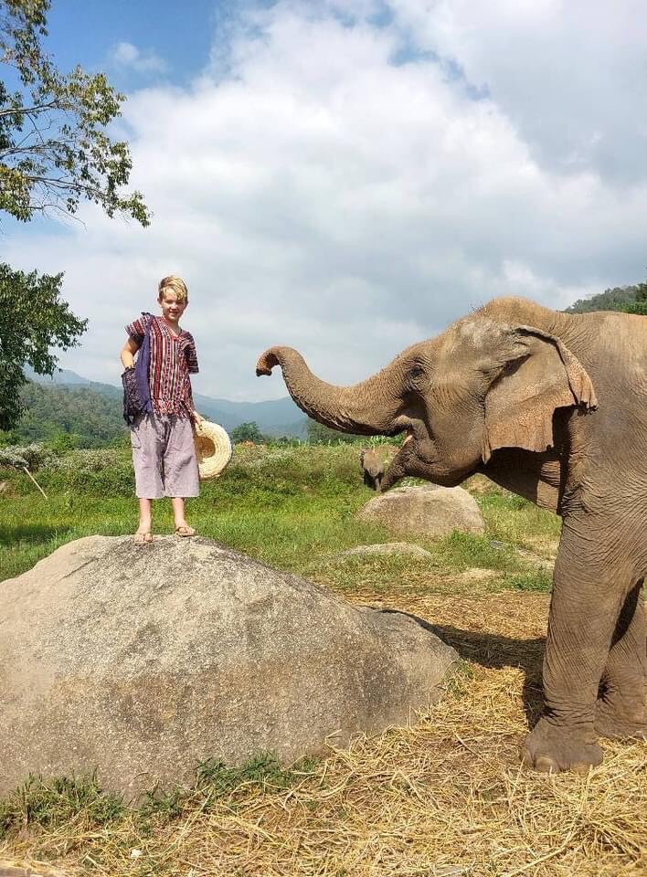 elephant-sanctuary-tahiland-doilom-oneday