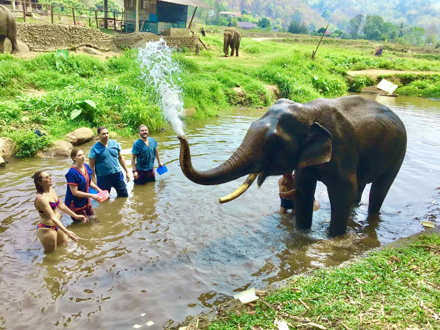 elephant-sanctuary-thailand-doilom-tour