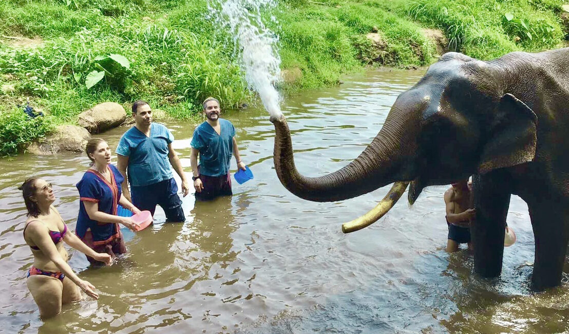 Elephant Rescue Sanctuary Thailand Chang Mai Doilom halfdaytour