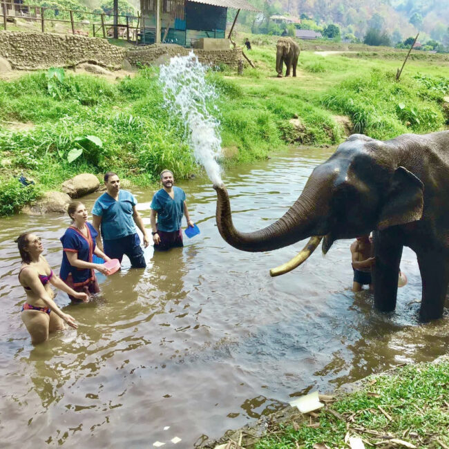 Elephant Rescue Sanctuary Thailand Chang Mai Doilom halfdaytour