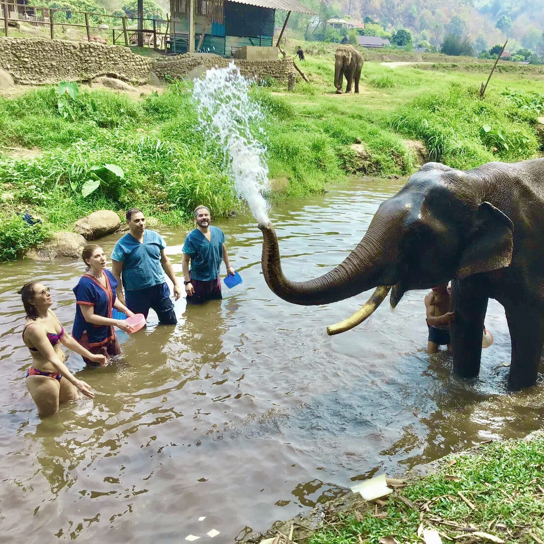 Elephant Rescue Sanctuary Thailand Chang Mai Doilom halfdaytour
